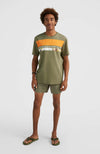 Cali print 15 zwemshort