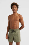 Cali print 15 zwemshort