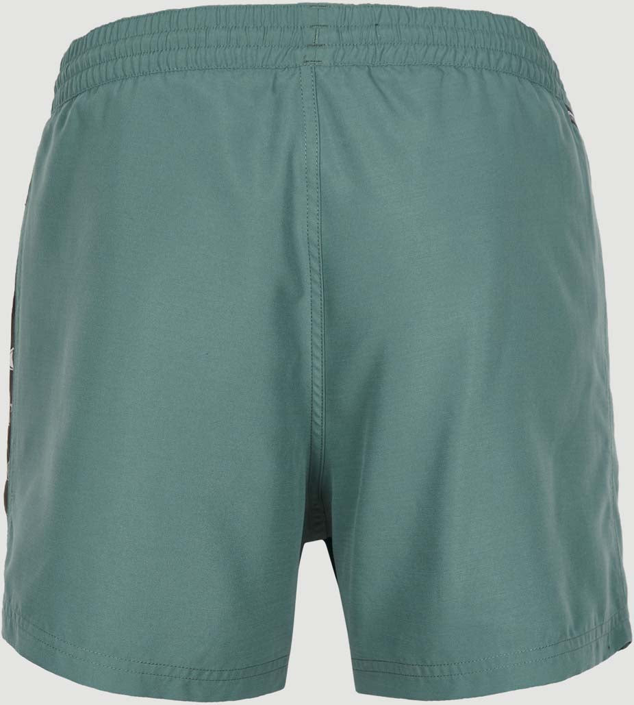 Cali print 15 zwemshort