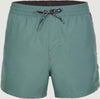 Coast 14-Inch zwemshort