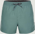 Coast 14-Inch zwemshort