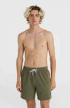 Mix Vert 16 zwemshort