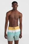 Mix Cali Block 15 zwembroek