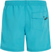 Vert 16 zwemshort