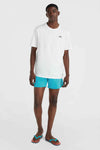 Vert 16 zwemshort