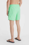 Cali 16 zwemshort