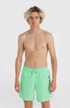Cali 16 zwemshort