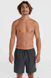 Cali 16 zwemshort