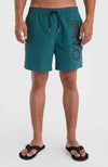 Original Cali 16 zwemshort