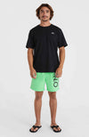 Original Cali 16 zwemshort
