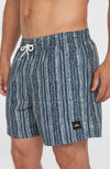 Cali Print 15 zwembroek