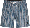 Cali Print 15 zwembroek