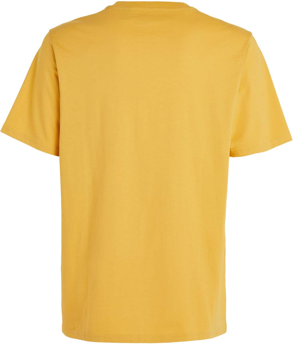 Future Surf Society shirt