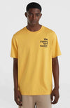 Future Surf Society shirt