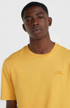 Oneill Small Logo shirt