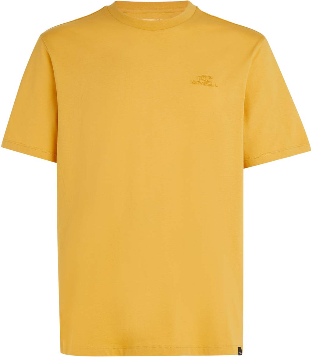 Oneill Small Logo shirt