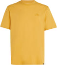 Oneill Small Logo shirt