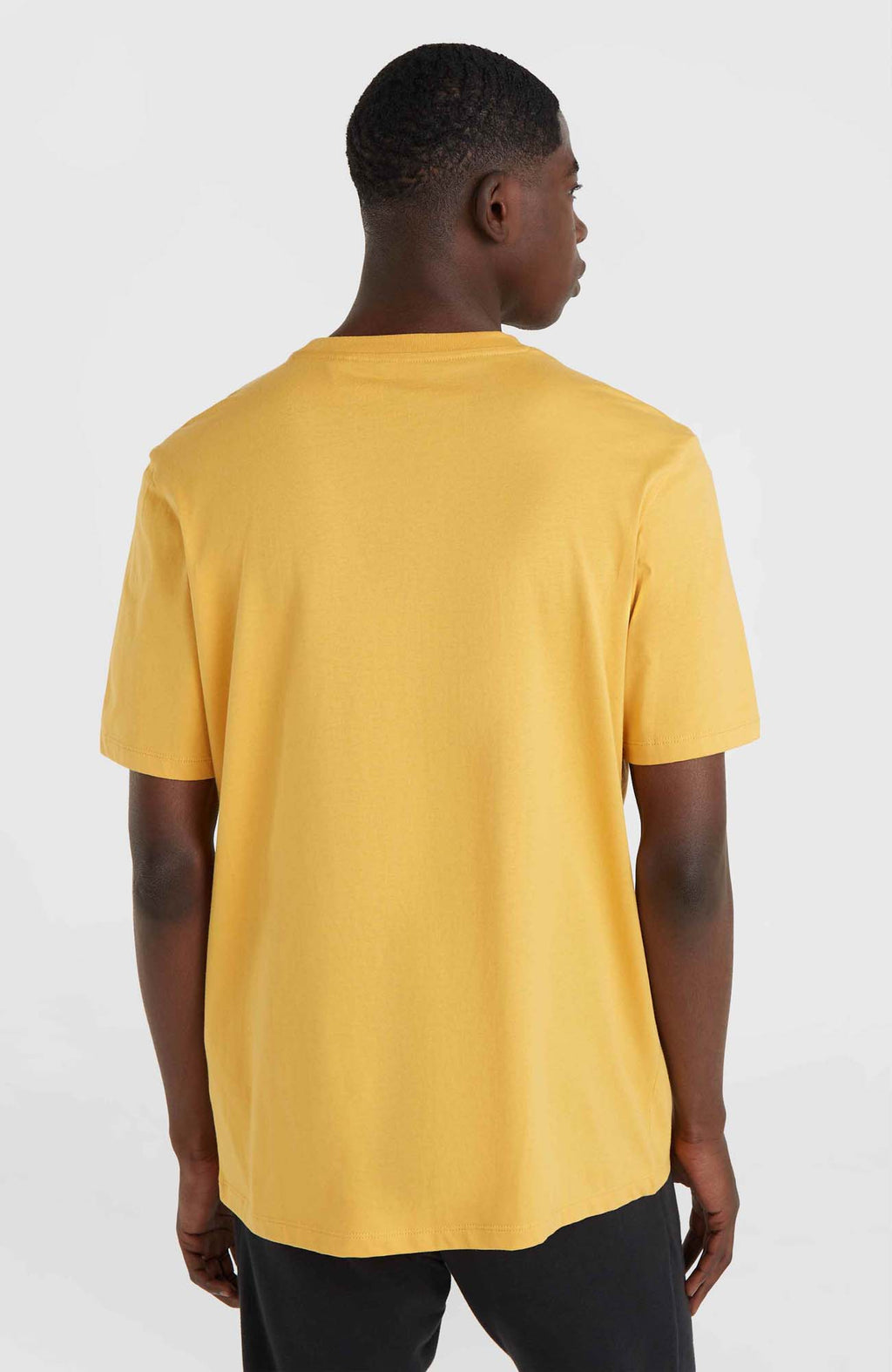 Oneill Small Logo shirt