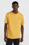 Oneill Small Logo shirt