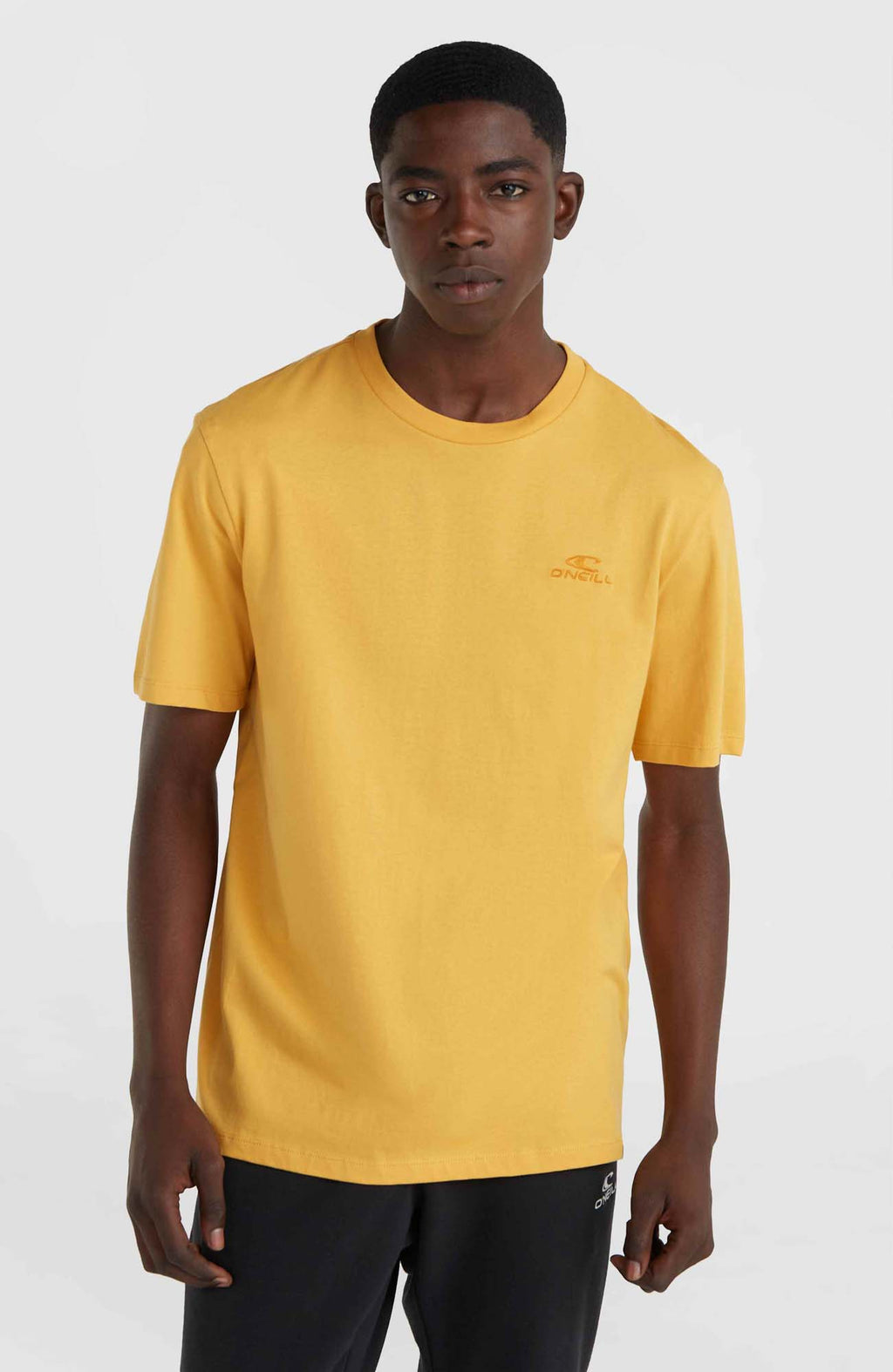 Oneill Small Logo shirt