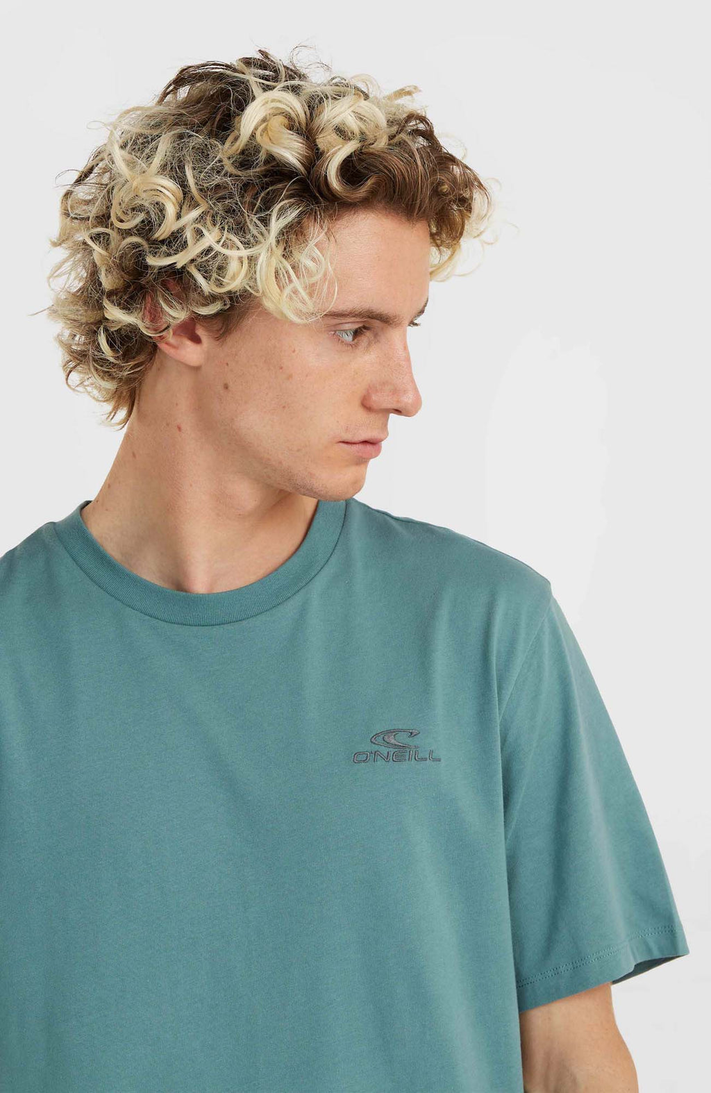 Oneill Small Logo shirt