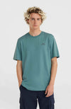Oneill Small Logo shirt