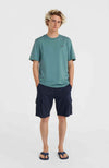 Oneill Small Logo shirt