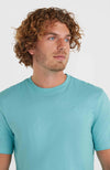 Oneill Small Logo shirt