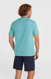 Oneill Small Logo shirt