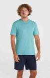 Oneill Small Logo shirt