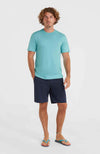 Oneill Small Logo shirt