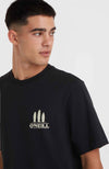 Beach Graphic t-shirt