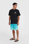 Beach Graphic t-shirt