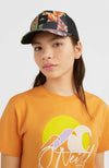 Flood Trucker pet