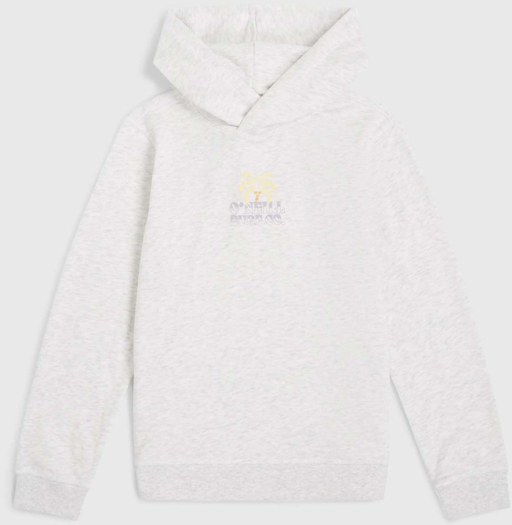 Back Print hoodie