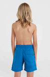 Vert 14 zwemshort