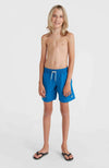 Vert 14 zwemshort