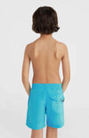 Vert 14 zwemshort