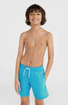 Vert 14 zwemshort