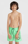 Originals Cali 14 zwemshort