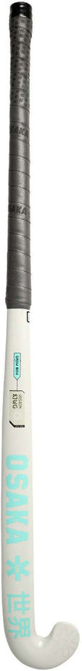 Vision Wg hockeystick