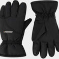 ski handschoenen