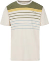 Prtpleco shirt
