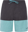 Prtfreddie zwemshort