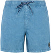 Prtraptor zwemshort