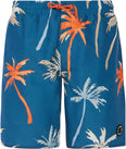 Prtbrandon Jr beachshort