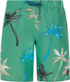Prtbrandon Jr beachshort