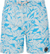 Prtcolney Jr beachshort