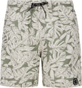Prtcolney Jr beachshort