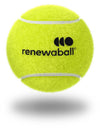 Tennisballen koker 3 stuks